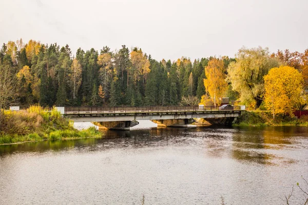 Gyönyörű Park Őszi Napon Természet — Stock Fotó