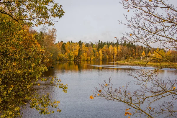 Beautiful Lake Park Autumn Day Nature — Stock Photo, Image