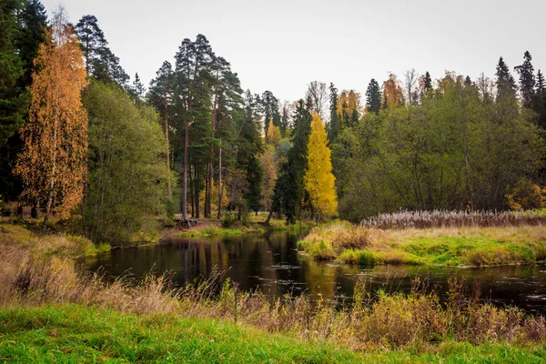 Gyönyörű Park Őszi Napon Természet — Stock Fotó