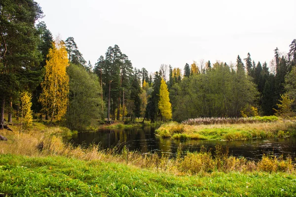 Güzel Göl Sonbahar Günü Park Doğa — Stok fotoğraf