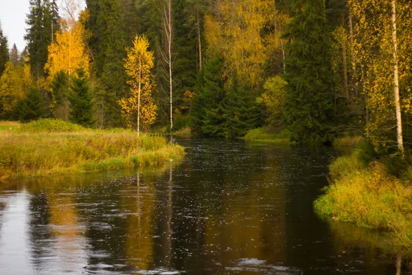 Schöner See Park Einem Herbsttag Natur — Stockfoto