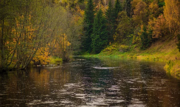 Piękny Jesienny Park Charakter Podróże — Zdjęcie stockowe