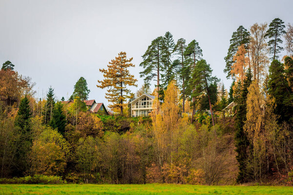 Beautiful autumn park. Nature, travel