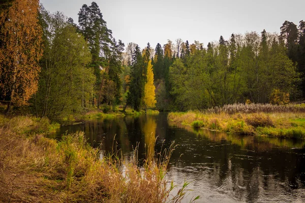 Krásný Podzimní Park Příroda Cestování — Stock fotografie