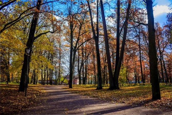 Piękny Jesienny Park Charakter Podróże — Zdjęcie stockowe