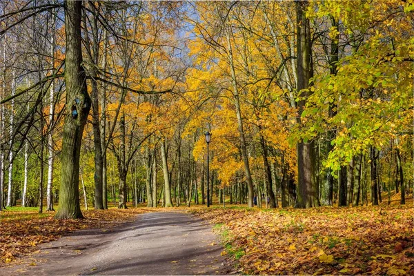 Wunderschöner Herbstpark Natur Reisen — Stockfoto