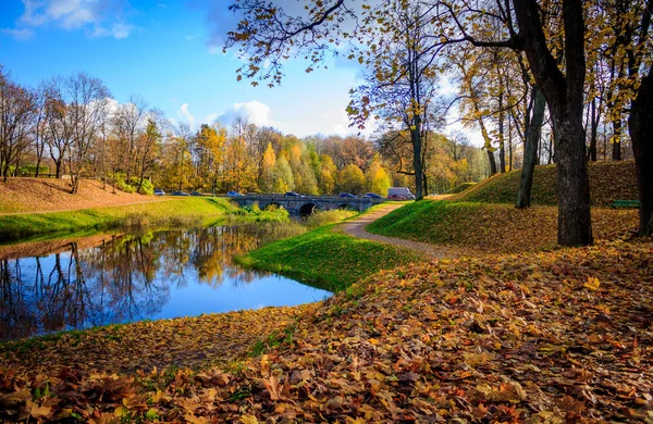 Güzel Bir Sonbahar Parkı Doğa Seyahat — Stok fotoğraf