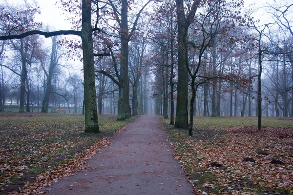 Chemin Dans Magnifique Parc Automne Nature Voyage — Photo