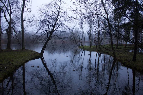 Dammen Vacker Höst Park Naturen Färdas — Stockfoto
