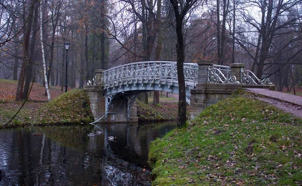 Güzel sonbahar park su birikintisi. Doğa, seyahat