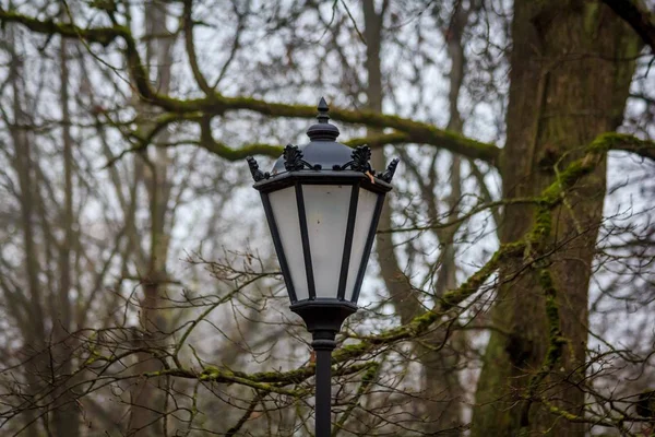 Lanterna Vintage Parque Outono — Fotografia de Stock