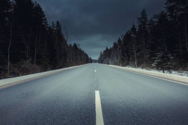 herdem yeşil iğne yapraklı orman yolda inanılmaz görünümünü 