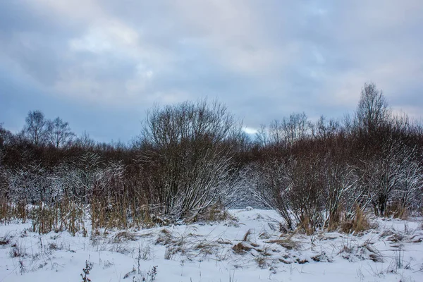 Зимовий Пейзаж Засніженим Лісом Вдень — стокове фото