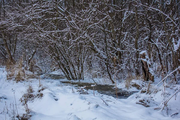 Winterlandschaft Bei Klarem Wetter — Stockfoto