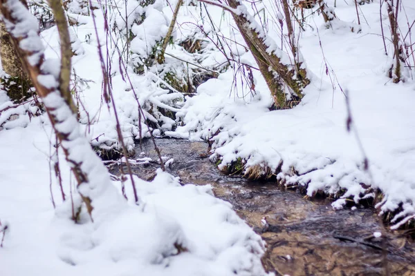 Paisagem Inverno Tempo Claro — Fotografia de Stock