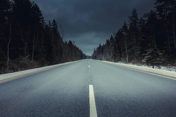 herdem yeşil iğne yapraklı orman yolda inanılmaz görünümünü 