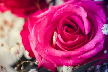 pembe gül alyans yakın 