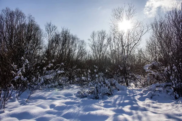 Paesaggio Invernale Con Tempo Limpido — Foto Stock