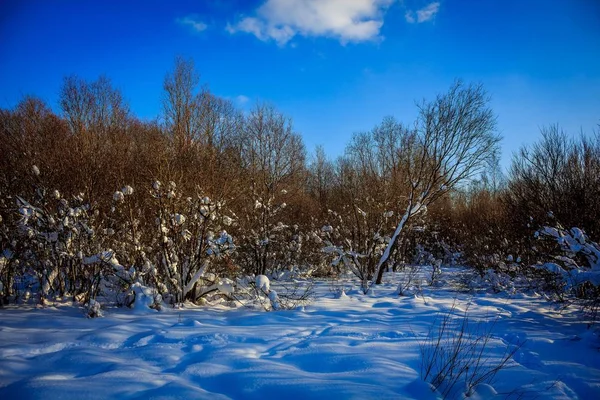 Winterlandschaft Bei Klarem Wetter — Stockfoto