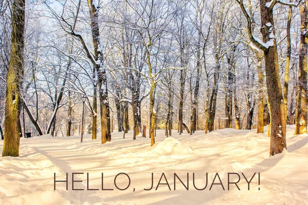 Hej Januari Foto Början Det Nya Året Gratulationskort Hej Januari — Stockfoto