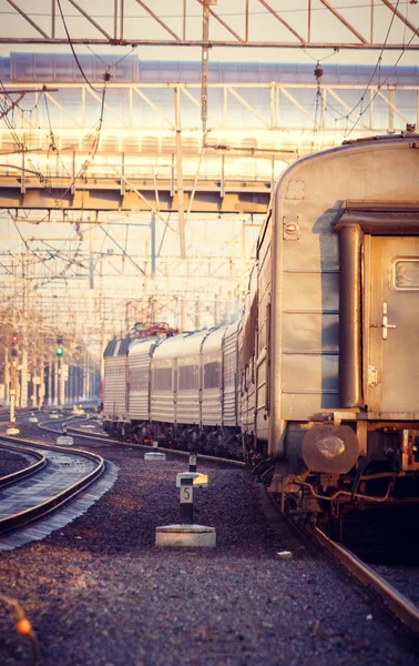 Train Russe Les Chemins Fer Russes Luban Avril 2018 — Photo