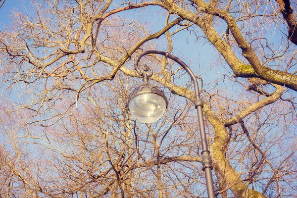 Una Linterna Centro San Petersburgo — Foto de Stock