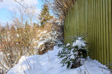 Güneşli Mart manzaralı