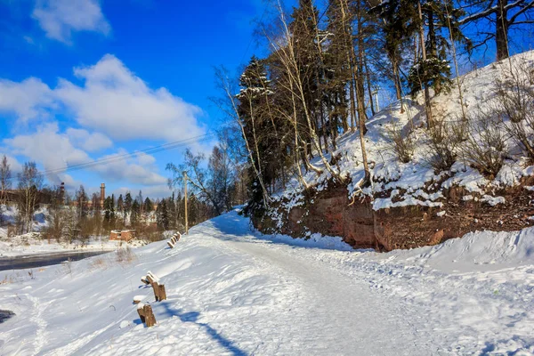 Paysage Hivernal Par Temps Clair — Photo