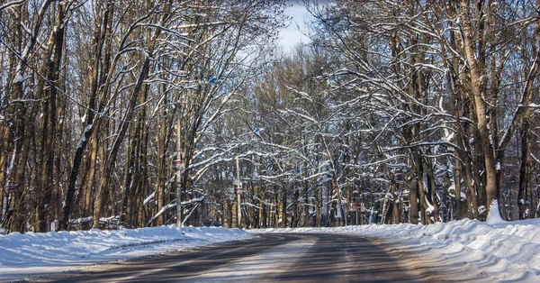 Camino Nevado Invierno Viaje Coche — Foto de Stock