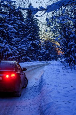 karlı kış orman boyunca yolda araba 