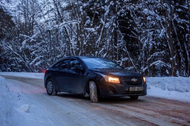 karlı kış orman boyunca yolda araba 