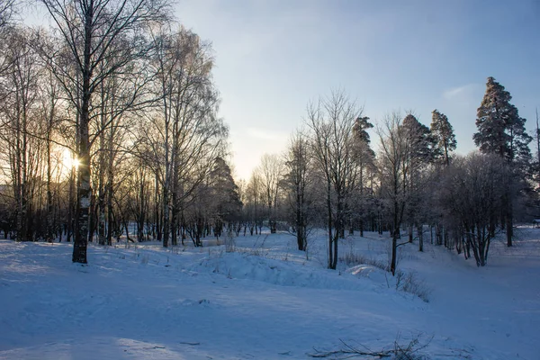 Winter Park Landscape Beautiful Landscape Nature — Stock Photo, Image