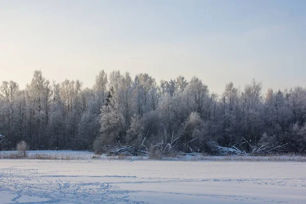Winter park manzara. Güzel manzara. Doğa 