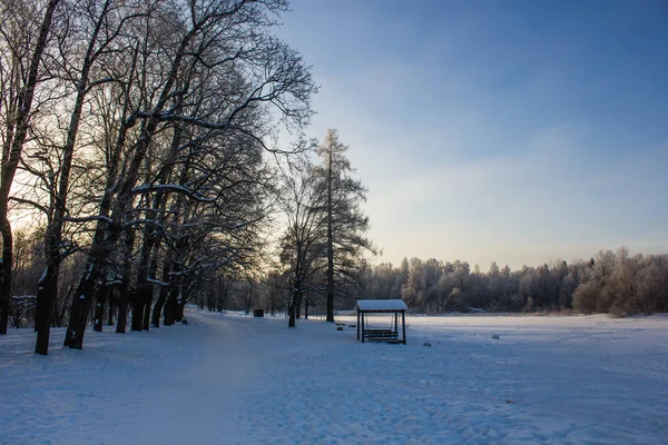 Χειμερινό Πάρκο Τοπίο Όμορφο Τοπίο Φύση — Φωτογραφία Αρχείου