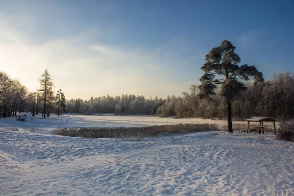 Winter Park Landscape Beautiful Landscape Nature — Stock Photo, Image