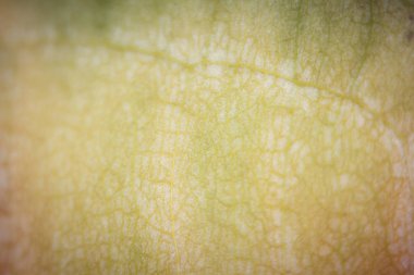 kopya alanı ile pütürlü yüzeyi