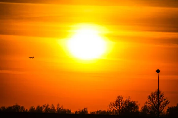 Árboles Siluetas Sobre Dramático Fondo Del Atardecer —  Fotos de Stock