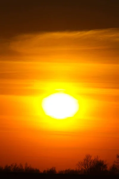 Árboles Siluetas Sobre Dramático Fondo Del Atardecer —  Fotos de Stock