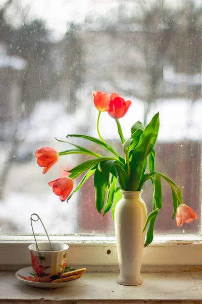 Premières Tulipes Fraîches Sur Rebord Fenêtre — Photo