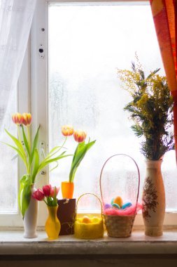 güzel laleler ve Paskalya yumurtaları pencere pervazına üzerinde