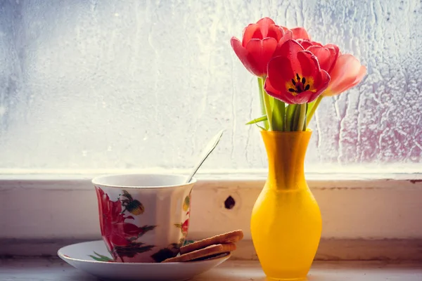 Fresh First Tulips Windowsill — Stock Photo, Image