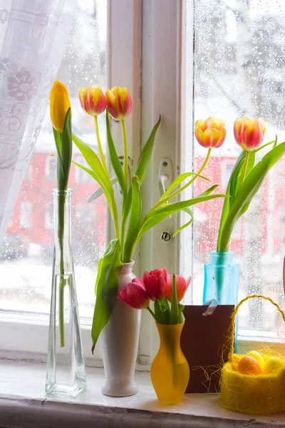 Belles Tulipes Oeufs Pâques Sur Rebord Fenêtre — Photo