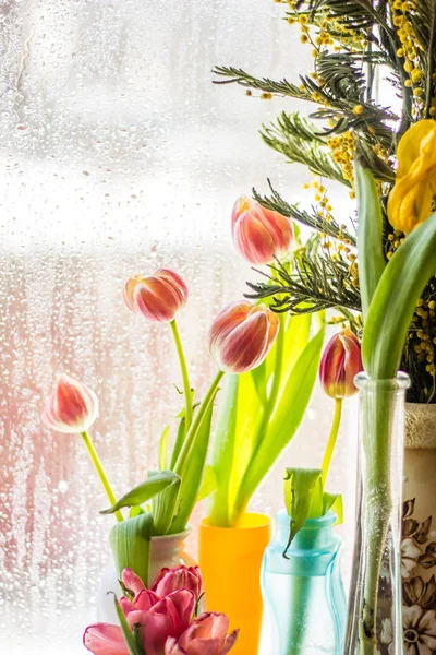 Beautiful Spring Tulips Vases Windowsill — Stock Photo, Image