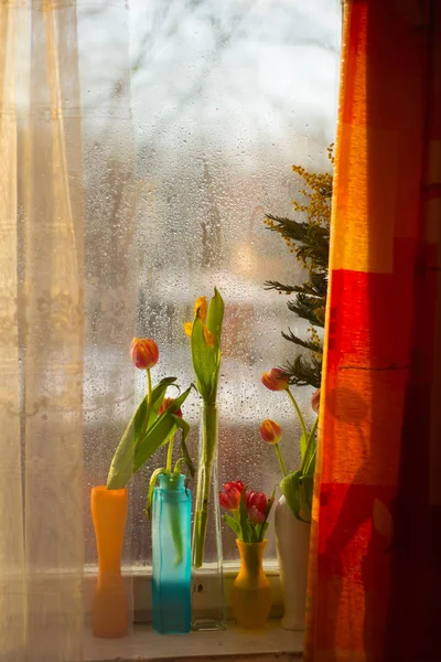 Belles Tulipes Printemps Dans Des Vases Sur Rebord Fenêtre — Photo
