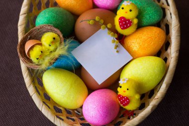 Parlak renkli Paskalya yumurta ve tavuk