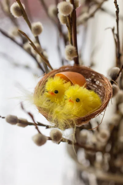 Mutlu Paskalya Tebrik Kartı Tavuk Taze Ağaç Dalları Pencere Pervazına — Stok fotoğraf