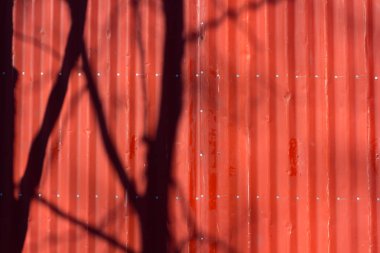 kırmızı duvar yüzeyinde ağaç gölgesi