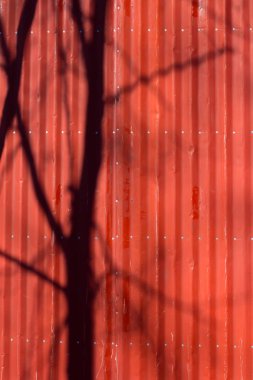 kırmızı duvar yüzeyinde ağaç gölgesi