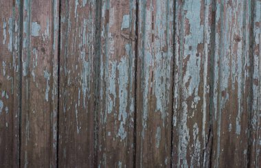 Soyut ahşap doku backgroound