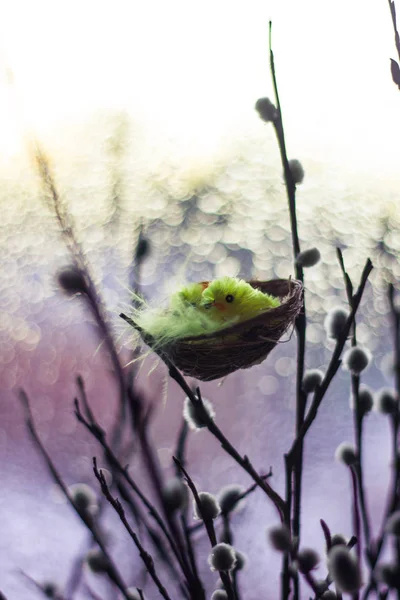 Великоднем Вітальна Листівка Іграшкове Гніздо Курчатами Гілками Свіжого Дерева Біля — стокове фото